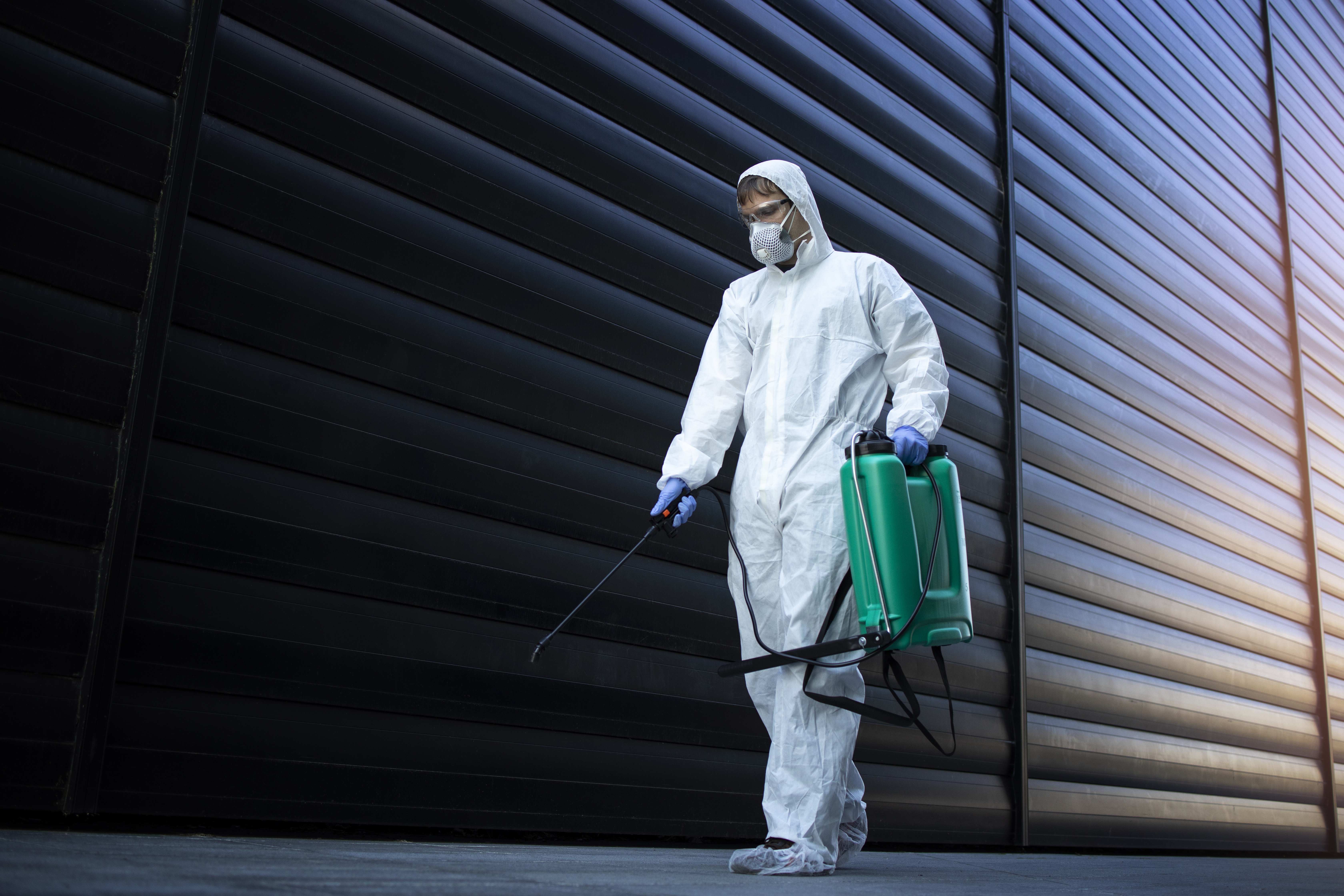 Pest Control Image Icon